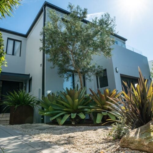 landscape design Glenhaven | Vogue & Vine Landscape Designers Sydney