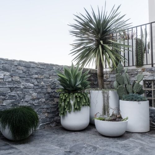 balcony gardens sydney