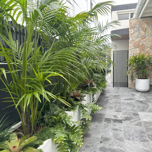 Landscape Design Sutherland Shire NSW