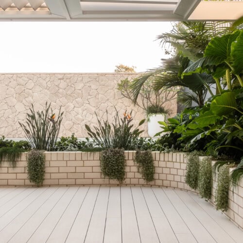 landscape design Bilgola NSW | Vogue & Vine - Landscape Designers Sydney