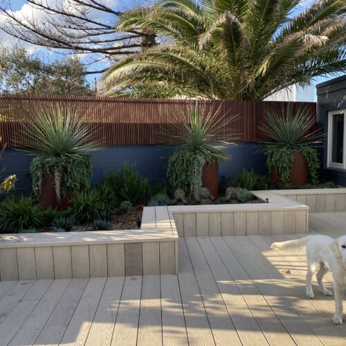 landscape design Cromer NSW | Vogue & Vine - Landscape Designers Sydney