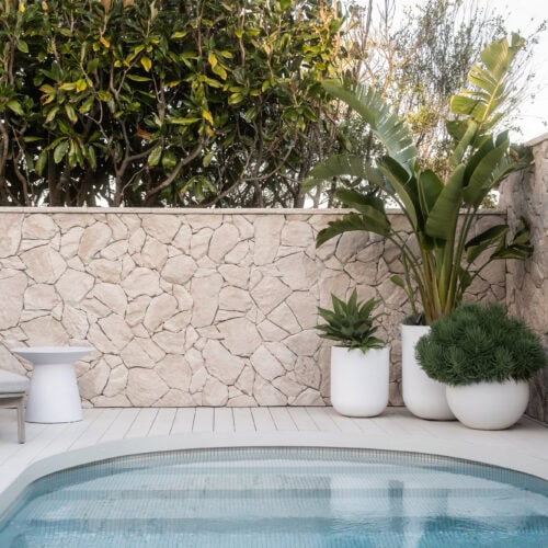 landscape design Curl Curl NSW | Vogue & Vine