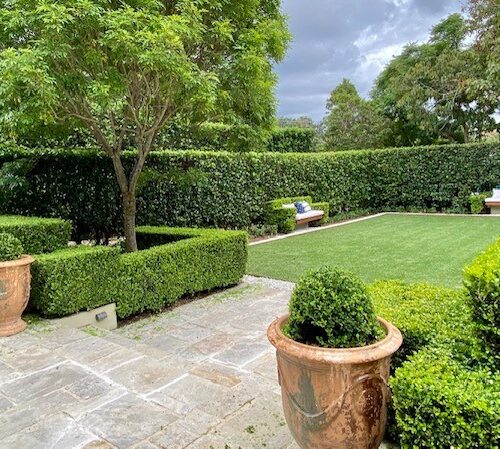 landscape design Terrey Hills NSW | Vogue & Vine