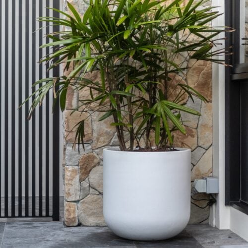 sydney balcony gardens design