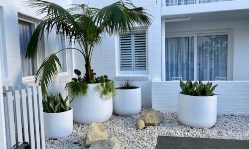 Designer garden pots Sydney | Vogue & Vine - Landscape Designers Sydney