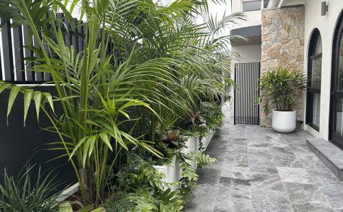 Landscape Design manly | Vogue & Vine - Landscape Designers Sydney