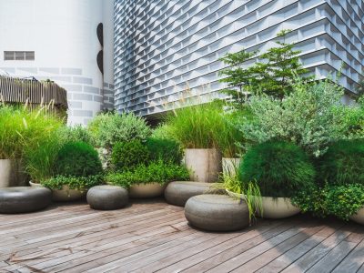 Rooftop Garden Design Sydney | Vogue & Vine - Landscape Designers Sydney